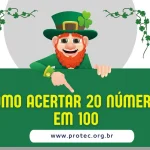 Como acertar 20 números em 100