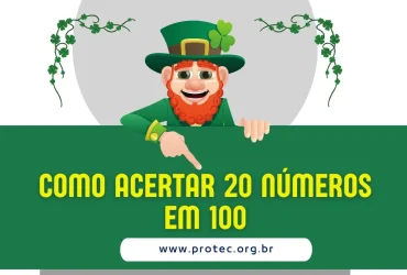 Como acertar 20 números em 100