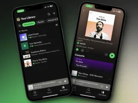 baixar sua biblioteca Spotify para ouvir offline