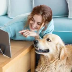 comprar em um pet shop online