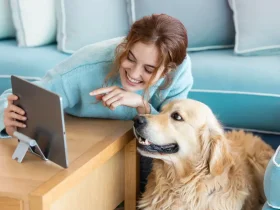 comprar em um pet shop online