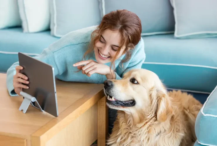 comprar em um pet shop online