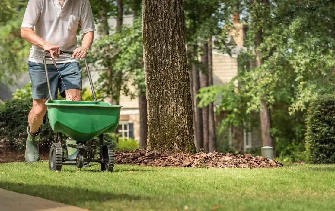 hora para semear seu gramado