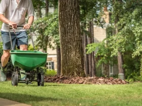 hora para semear seu gramado
