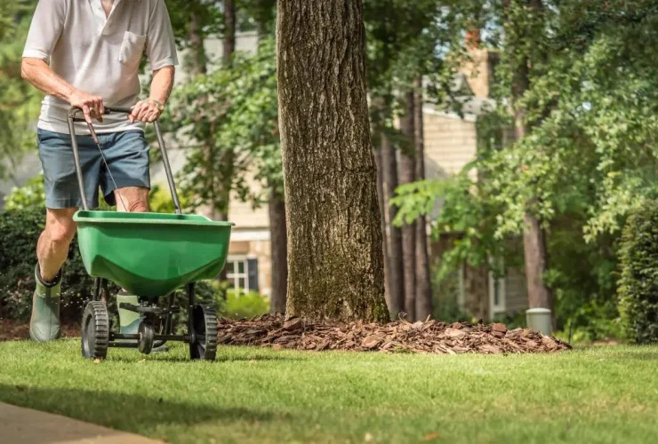 hora para semear seu gramado