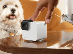 Petcube Cam 360