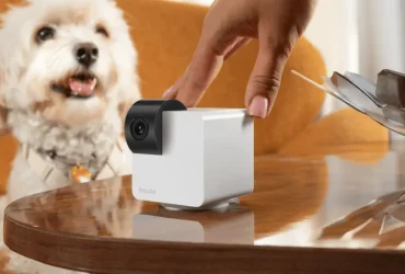 Petcube Cam 360