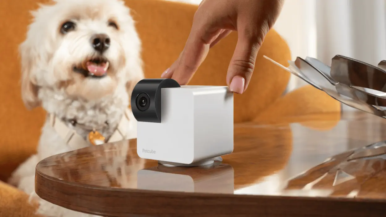 Petcube Cam 360